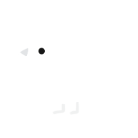 A white chicken with a lace pattern