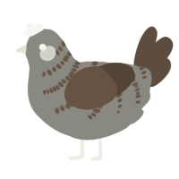A ash and bark chicken with a half-bar pattern
