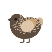 latte freak, a bark and beige chicken with a half-lace pattern