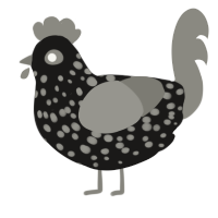 A sable and ash chicken with a speckle pattern