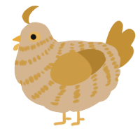 A beige and gold chicken with a bar pattern