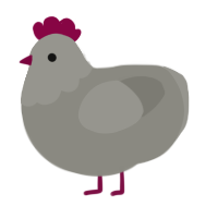 A ash chicken with a head pattern