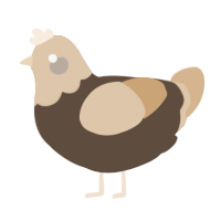 A bark and beige chicken with a head pattern