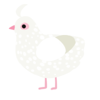 A white chicken with a speckle pattern