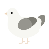 A white and ash chicken