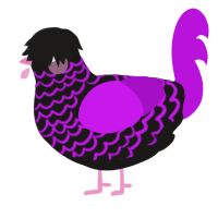 A sable and amethyst chicken with a lace pattern