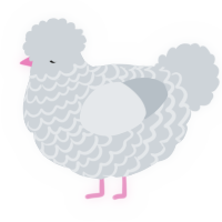 A mist chicken with a lace pattern