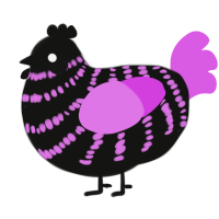A black and orchid chicken with a bar pattern