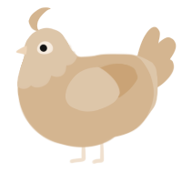 A beige chicken with a head pattern