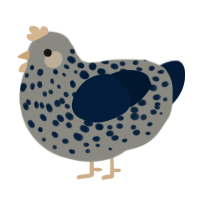 A ash and tumblr chicken with a speckle pattern
