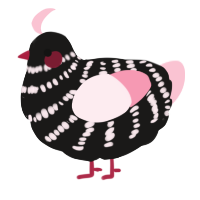 A sable and rose chicken with a bar pattern