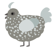A ash and silver chicken with a speckle pattern