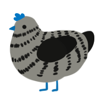 Frozty, a ash and black chicken with a bar pattern