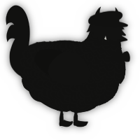 A black chicken with a double-lace pattern