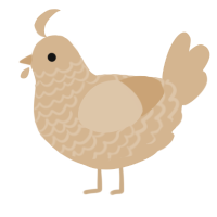 A beige chicken with a lace pattern