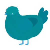 A teal and sea chicken with a double-lace pattern