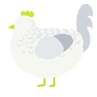 A white and mist chicken with a half-lace pattern