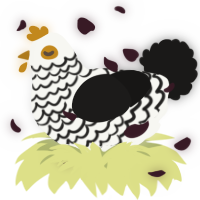 A white and sable chicken with a lace pattern