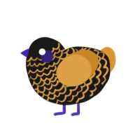 Pumkin, a sable and orange chicken with a lace pattern