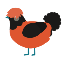 A vermilion and sable chicken with a head pattern