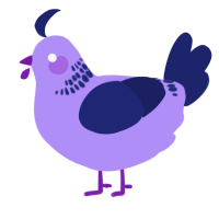 A lilac and navy chicken with a neck-band pattern