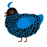 A black and sapphire chicken with a lace pattern