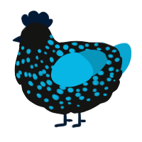 A black and cerulean chicken with a speckle pattern