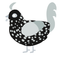 A sable and silver chicken with a speckle pattern