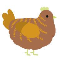 A brown and ochre chicken with a half-bar pattern