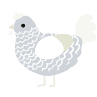 A mist and white chicken with a lace pattern