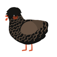 A black and bark chicken with a lace pattern