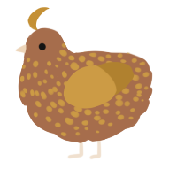 A brown and gold chicken with a speckle pattern