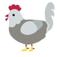 A ash and silver chicken with a head pattern