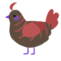 A bark and red chicken with a half-bar pattern