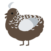 A bark and mist chicken with a half-lace pattern