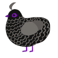 A black and grey chicken with a lace pattern