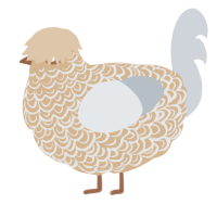 A beige and mist chicken with a double-lace pattern