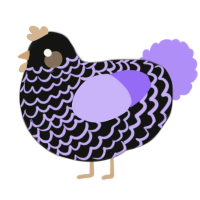A black and lilac chicken with a lace pattern