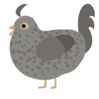 A ash and grey chicken with a speckle pattern