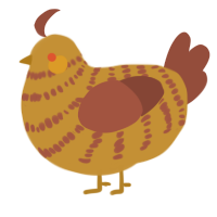 A gold and russet chicken with a bar pattern