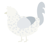 A white and mist chicken with a speckle pattern