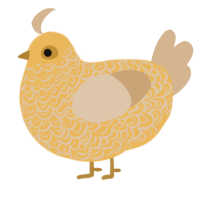 A honey and beige chicken with a double-lace pattern