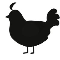 A black chicken