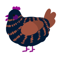 A tumblr and russet chicken with a bar pattern