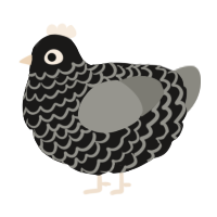 A sable and ash chicken with a lace pattern