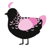 A black and pink chicken with a half-lace pattern