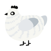 A white and mist chicken with a bar pattern