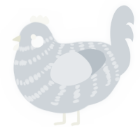 A mist chicken with a bar pattern