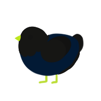 (unnamed), a tumblr and black chicken with a head pattern