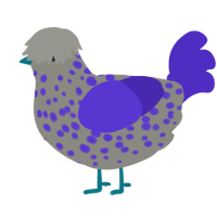 A ash and indigo chicken with a speckle pattern
